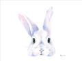 Picture of Peekaboo Bunny _GroupedProduct_Rectangle_Landscape_Mini_ _GroupedProduct_Rectangle_Landscape_Unframed_Print_Only_