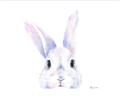 Picture of Peekaboo Bunny _GroupedProduct_Rectangle_Landscape_Mini_ _GroupedProduct_Rectangle_Landscape_Unframed_Print_Only_