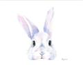 Picture of Peekaboo Bunny _GroupedProduct_Rectangle_Landscape_Mini_ _GroupedProduct_Rectangle_Landscape_Unframed_Print_Only_