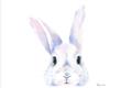 Picture of Peekaboo Bunny _GroupedProduct_Rectangle_Landscape_Mini_ _GroupedProduct_Rectangle_Landscape_Unframed_Print_Only_