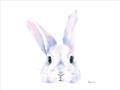 Picture of Peekaboo Bunny _GroupedProduct_Rectangle_Landscape_Mini_ _GroupedProduct_Rectangle_Landscape_Unframed_Print_Only_