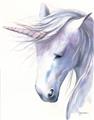 Picture of Purple Unicorn l _GroupedProduct_Rectangle_Portrait_Mini_ _GroupedProduct_Rectangle_Portrait_Unframed_Print_Only_