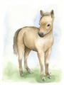Picture of Farm Horse _GroupedProduct_Rectangle_Portrait_Mini_ _GroupedProduct_Rectangle_Portrait_Unframed_Print_Only_