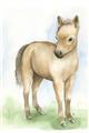 Picture of Farm Horse _GroupedProduct_Rectangle_Portrait_Mini_ _GroupedProduct_Rectangle_Portrait_Unframed_Print_Only_