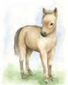 Picture of Farm Horse _GroupedProduct_Rectangle_Portrait_Mini_ _GroupedProduct_Rectangle_Portrait_Unframed_Print_Only_