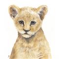 Picture of Lion Babe _GroupedProduct_Square_Mini_ _GroupedProduct_Square_Unframed_Print_Only_