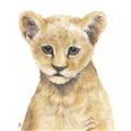 Picture of Lion Babe _GroupedProduct_Square_Mini_ _GroupedProduct_Square_Unframed_Print_Only_