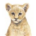 Picture of Lion Babe _GroupedProduct_Square_Mini_ _GroupedProduct_Square_Unframed_Print_Only_