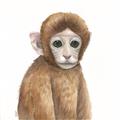 Picture of Monkey Babe _GroupedProduct_Square_Mini_ _GroupedProduct_Square_Unframed_Print_Only_