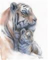 Picture of Mom and Baby Tiger _GroupedProduct_Rectangle_Portrait_Mini_ _GroupedProduct_Rectangle_Portrait_Unframed_Print_Only_
