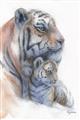 Picture of Mom and Baby Tiger _GroupedProduct_Rectangle_Portrait_Mini_ _GroupedProduct_Rectangle_Portrait_Unframed_Print_Only_