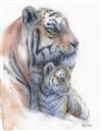 Picture of Mom and Baby Tiger _GroupedProduct_Rectangle_Portrait_Mini_ _GroupedProduct_Rectangle_Portrait_Unframed_Print_Only_