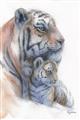 Picture of Mom and Baby Tiger _GroupedProduct_Rectangle_Portrait_Mini_ _GroupedProduct_Rectangle_Portrait_Unframed_Print_Only_