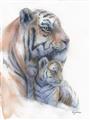 Picture of Mom and Baby Tiger _GroupedProduct_Rectangle_Portrait_Mini_ _GroupedProduct_Rectangle_Portrait_Unframed_Print_Only_