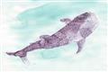 Picture of Purple Whale Friend _GroupedProduct_Rectangle_Landscape_Mini_ _GroupedProduct_Rectangle_Landscape_Unframed_Print_Only_