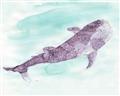 Picture of Purple Whale Friend _GroupedProduct_Rectangle_Landscape_Mini_ _GroupedProduct_Rectangle_Landscape_Unframed_Print_Only_