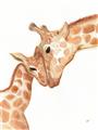 Picture of Mom and baby Giraffe _GroupedProduct_Rectangle_Portrait_Mini_ _GroupedProduct_Rectangle_Portrait_Unframed_Print_Only_