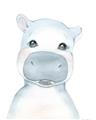 Picture of Halle Hippo _GroupedProduct_Rectangle_Portrait_Mini_ _GroupedProduct_Rectangle_Portrait_Unframed_Print_Only_