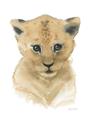 Picture of Lexie Lion _GroupedProduct_Rectangle_Portrait_Mini_ _GroupedProduct_Rectangle_Portrait_Unframed_Print_Only_