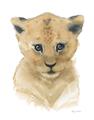 Picture of Lexie Lion _GroupedProduct_Rectangle_Portrait_Mini_ _GroupedProduct_Rectangle_Portrait_Unframed_Print_Only_