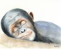 Picture of Sleeping Monkey _GroupedProduct_Rectangle_Landscape_Mini_ _GroupedProduct_Rectangle_Landscape_Unframed_Print_Only_