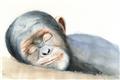 Picture of Sleeping Monkey _GroupedProduct_Rectangle_Landscape_Mini_ _GroupedProduct_Rectangle_Landscape_Unframed_Print_Only_