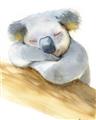 Picture of Sleeping Koala I _GroupedProduct_Rectangle_Portrait_Mini_ _GroupedProduct_Rectangle_Portrait_Unframed_Print_Only_