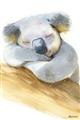 Picture of Sleeping Koala I _GroupedProduct_Rectangle_Portrait_Mini_ _GroupedProduct_Rectangle_Portrait_Unframed_Print_Only_