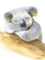 Picture of Sleeping Koala I _GroupedProduct_Rectangle_Portrait_Mini_ _GroupedProduct_Rectangle_Portrait_Unframed_Print_Only_