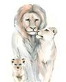 Picture of Lion Fam  _GroupedProduct_Rectangle_Portrait_Mini_ _GroupedProduct_Rectangle_Portrait_Unframed_Print_Only_