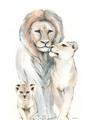 Picture of Lion Fam  _GroupedProduct_Rectangle_Portrait_Mini_ _GroupedProduct_Rectangle_Portrait_Unframed_Print_Only_