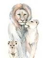 Picture of Lion Fam  _GroupedProduct_Rectangle_Portrait_Mini_ _GroupedProduct_Rectangle_Portrait_Unframed_Print_Only_