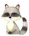 Picture of Woodland Raccoon _GroupedProduct_Rectangle_Portrait_Mini_ _GroupedProduct_Rectangle_Portrait_Unframed_Print_Only_
