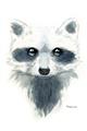 Picture of Raccoony _GroupedProduct_Rectangle_Portrait_Mini_ _GroupedProduct_Rectangle_Portrait_Unframed_Print_Only_