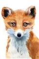 Picture of Foxy Fox _GroupedProduct_Rectangle_Portrait_Mini_ _GroupedProduct_Rectangle_Portrait_Unframed_Print_Only_