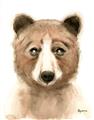 Picture of Beary _GroupedProduct_Rectangle_Portrait_Mini_ _GroupedProduct_Rectangle_Portrait_Unframed_Print_Only_