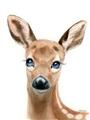 Picture of Deery _GroupedProduct_Rectangle_Portrait_Mini_ _GroupedProduct_Rectangle_Portrait_Unframed_Print_Only_