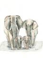 Picture of Elephant Family _GroupedProduct_Rectangle_Portrait_Mini_ _GroupedProduct_Rectangle_Portrait_Unframed_Print_Only_