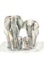 Picture of Elephant Family _GroupedProduct_Rectangle_Portrait_Mini_ _GroupedProduct_Rectangle_Portrait_Unframed_Print_Only_