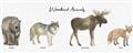 Picture of Woodland Animal Row _GroupedProduct_Panel_Landscape_Mini_ _GroupedProduct_Panel_Landscape_Unframed_Print_Only_