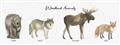 Picture of Woodland Animal Row _GroupedProduct_Panel_Landscape_Mini_ _GroupedProduct_Panel_Landscape_Unframed_Print_Only_