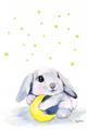 Picture of Moon Bunny  _GroupedProduct_Rectangle_Portrait_Mini_ _GroupedProduct_Rectangle_Portrait_Unframed_Print_Only_