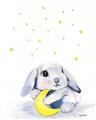 Picture of Moon Bunny  _GroupedProduct_Rectangle_Portrait_Mini_ _GroupedProduct_Rectangle_Portrait_Unframed_Print_Only_