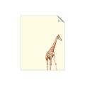 Picture of Safari l _GroupedProduct_Rectangle_Portrait_Mini_ _GroupedProduct_Rectangle_Portrait_Unframed_Print_Only_