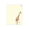 Picture of Safari l _GroupedProduct_Rectangle_Portrait_Mini_ _GroupedProduct_Rectangle_Portrait_Unframed_Print_Only_