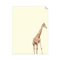 Picture of Safari l _GroupedProduct_Rectangle_Portrait_Mini_ _GroupedProduct_Rectangle_Portrait_Unframed_Print_Only_