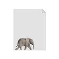 Picture of Safari lV _GroupedProduct_Rectangle_Portrait_Mini_ _GroupedProduct_Rectangle_Portrait_Unframed_Print_Only_