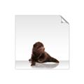 Picture of Singular Bear _GroupedProduct_Square_Mini_ _GroupedProduct_Square_Unframed_Print_Only_