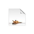 Picture of Singular Fox  _GroupedProduct_Square_Mini_ _GroupedProduct_Square_Unframed_Print_Only_