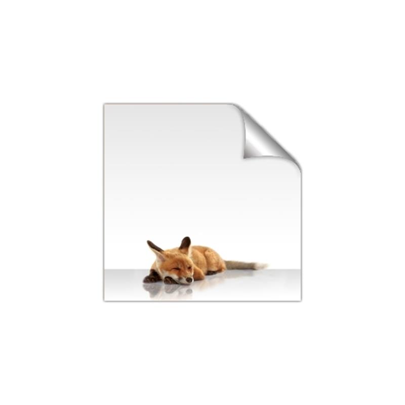 Picture of Singular Fox  _GroupedProduct_Square_Mini_ _GroupedProduct_Square_Unframed_Print_Only_